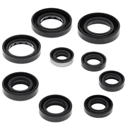 Vertex Oil Seal Kit