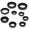 Vertex Oil Seal Kit