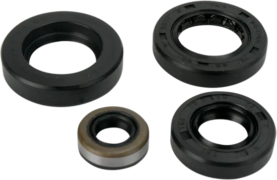 Moose Engine Oil Seal Kit