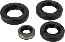 Moose Engine Oil Seal Kit