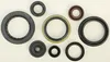 Vertex Oil Seal Kit
