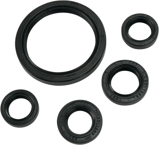 Moose Engine Oil Seal Kit