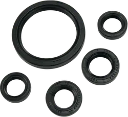 Moose Engine Oil Seal Kit