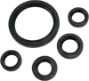 Moose Engine Oil Seal Kit