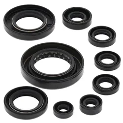 Vertex Oil Seal Kit
