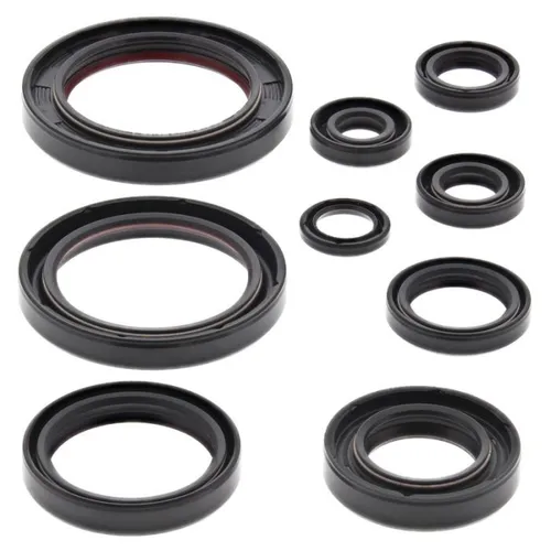 Vertex Oil Seal Kit