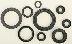 Vertex Oil Seal Kit