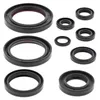Vertex Oil Seal Kit