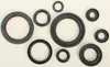 Vertex Oil Seal Kit