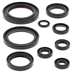 Vertex Oil Seal Kit