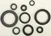 Vertex Oil Seal Kit