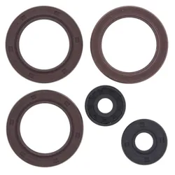 Vertex Oil Seal Kit