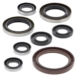 Vertex Oil Seal Kit