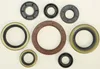 Vertex Oil Seal Kit