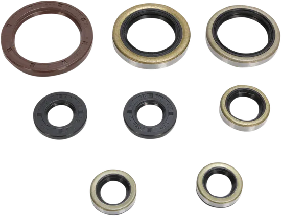 Moose Engine Oil Seal Kit