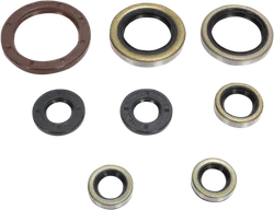 Moose Engine Oil Seal Kit