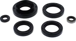 Vertex Oil Seal Kit