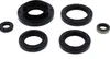 Vertex Oil Seal Kit