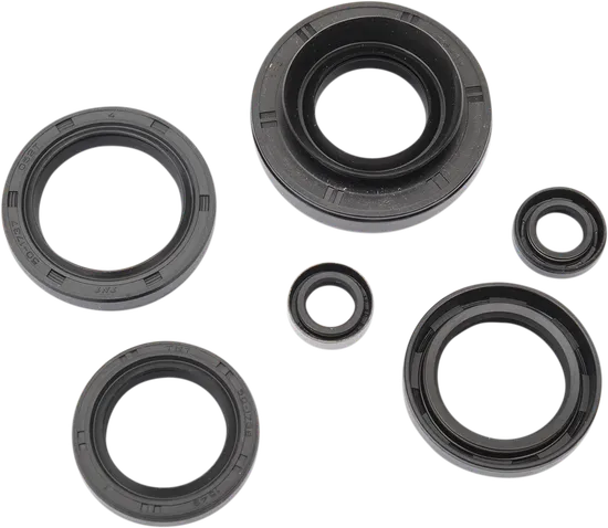 Moose Engine Oil Seal Kit