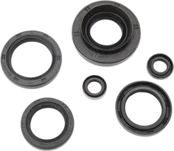 Moose Engine Oil Seal Kit