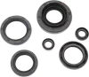 Moose Engine Oil Seal Kit