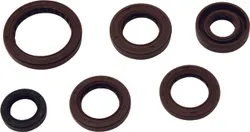 Vertex Engine Motor Oil Seal Kit