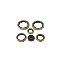 Vertex Oil Seal Kit