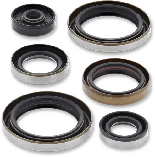Moose Engine Oil Seal Kit