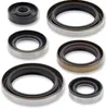 Moose Engine Oil Seal Kit