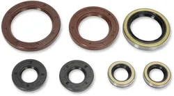 Moose Engine Oil Seal Kit