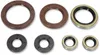 Moose Engine Oil Seal Kit