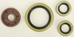 Vertex Oil Seal Kit