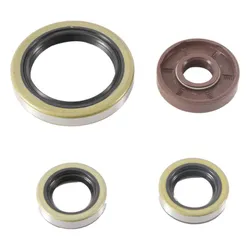 Vertex Oil Seal Kit