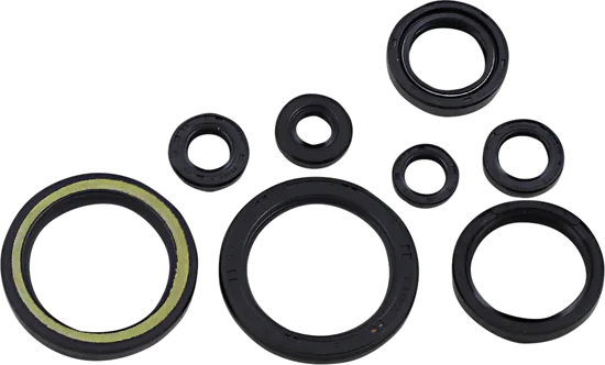 Moose Engine Oil Seal Kit