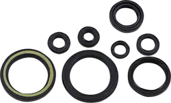 Moose Engine Oil Seal Kit