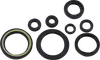 Moose Engine Oil Seal Kit
