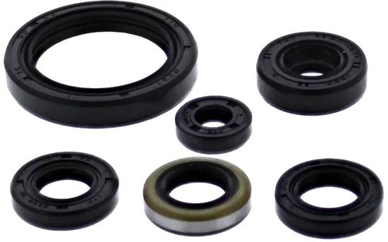 Vertex Oil Seal Kit