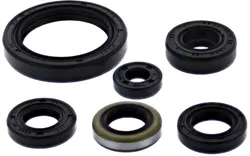 Vertex Oil Seal Kit
