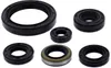 Vertex Oil Seal Kit