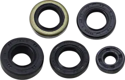 Moose Engine Oil Seal Kit