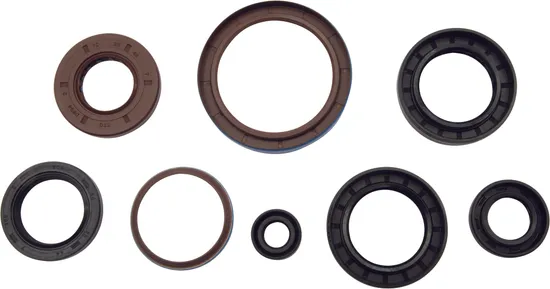 Vertex Oil Seal Kit