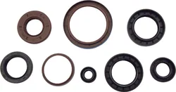 Vertex Oil Seal Kit