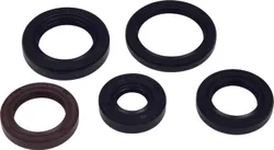 Vertex Oil Seal Kit