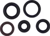 Vertex Oil Seal Kit