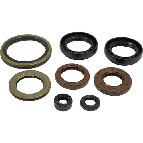 Vertex Engine Motor Oil Seal Kit
