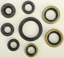 Vertex Oil Seal Kit