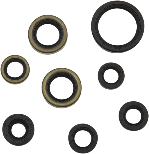 Moose Engine Oil Seal Kit