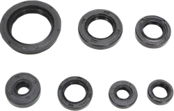 Moose Engine Oil Seal Kit