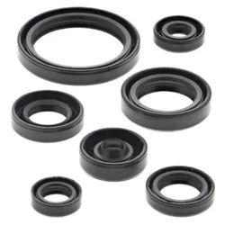 Vertex Oil Seal Kit