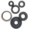 Vertex Oil Seal Kit